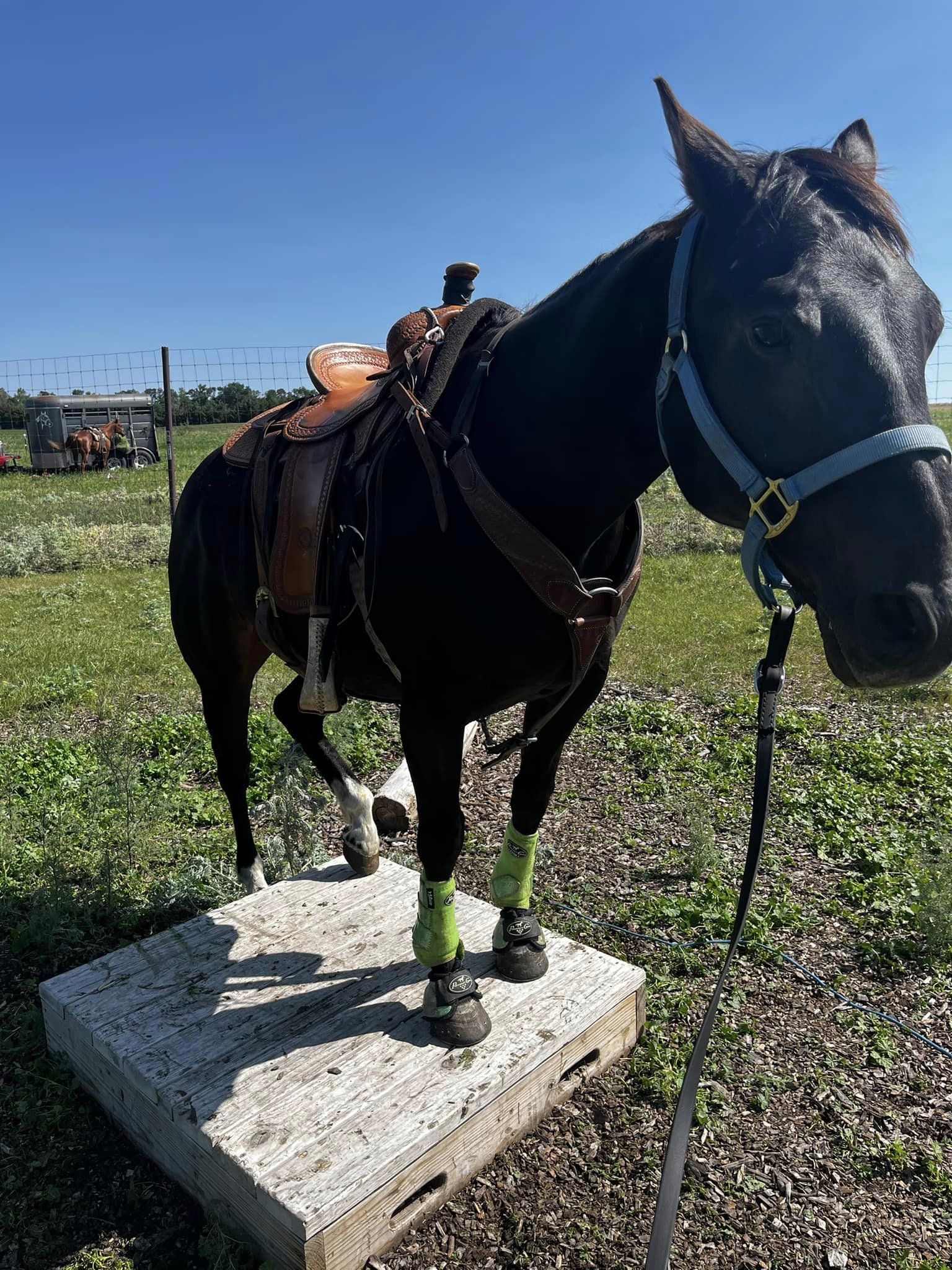 xena_obstacles